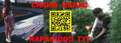 ГАЛЛЮЦИНОГЕННЫЕ ГРИБЫ Кулебаки