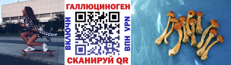 mega онион  Россошь  Псилоцибиновые грибы GOLDEN TEACHER 