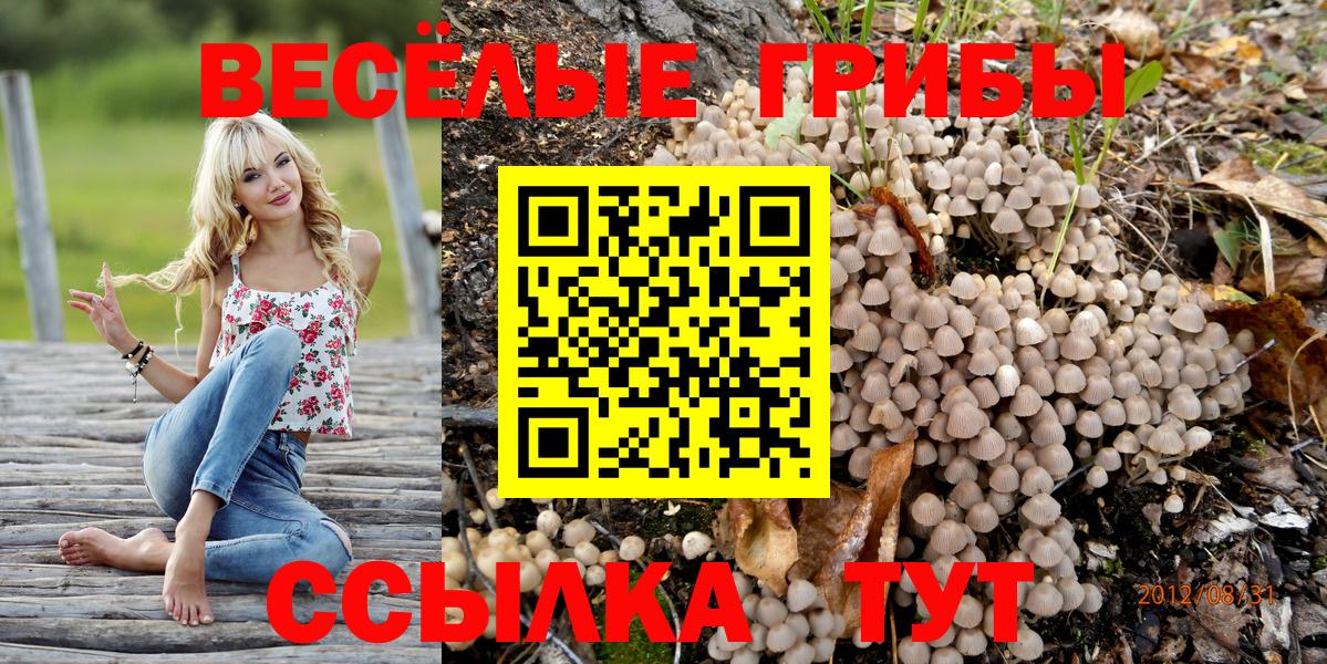 Галлюциногенные грибы GOLDEN TEACHER  где купить наркоту  Россошь  Вход с VPN 