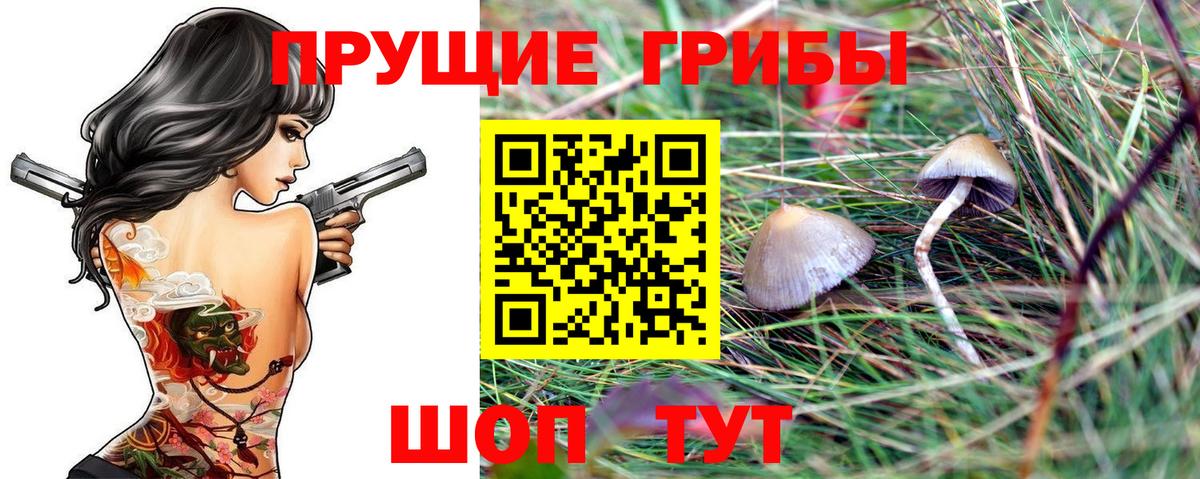 Псилоцибиновые грибы мицелий Россошь
